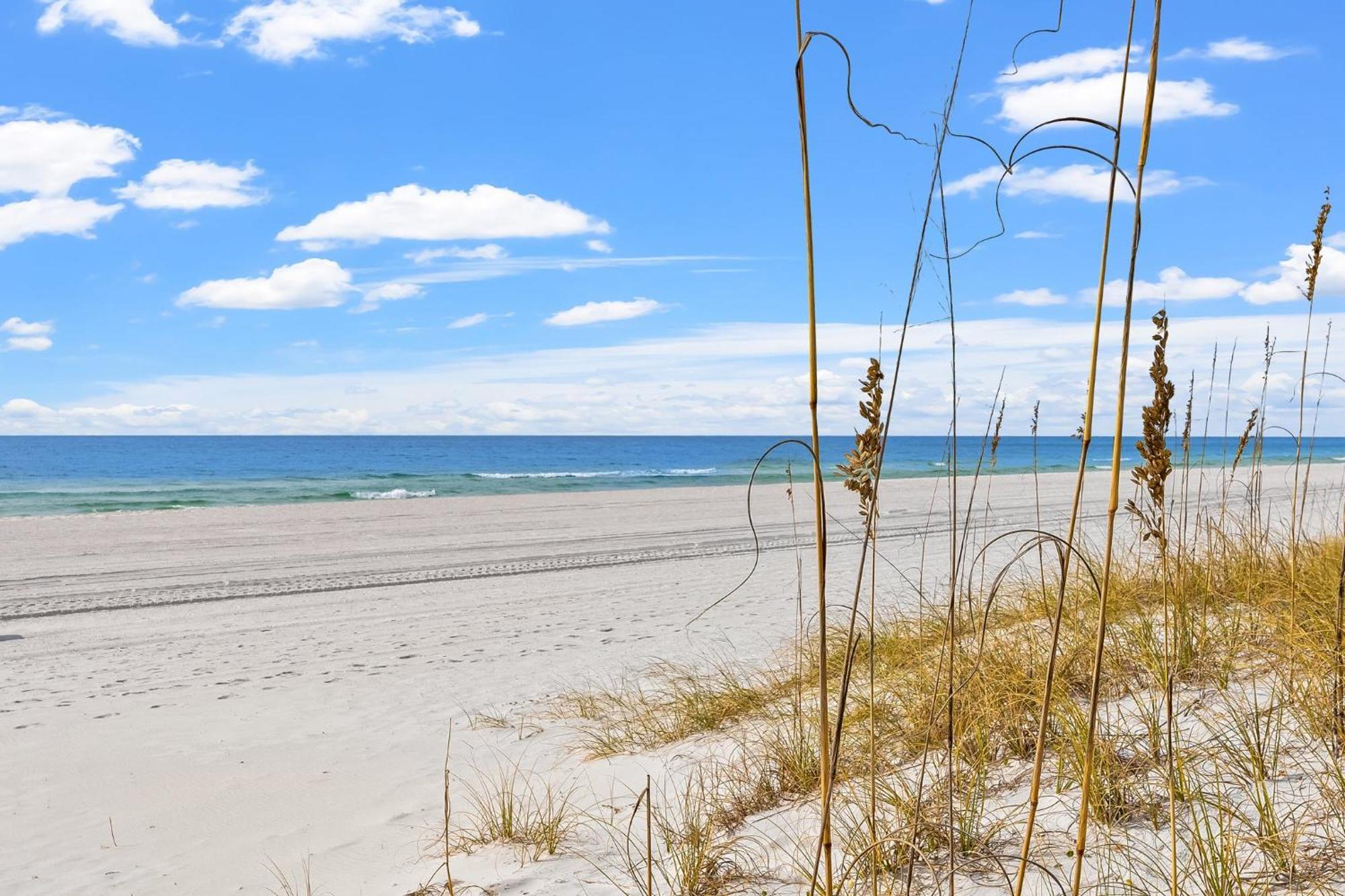 Appartamento Treasure Island 1607 Panama City Beach Esterno foto